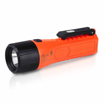 Intrinsically Safe Flashlight source view 1