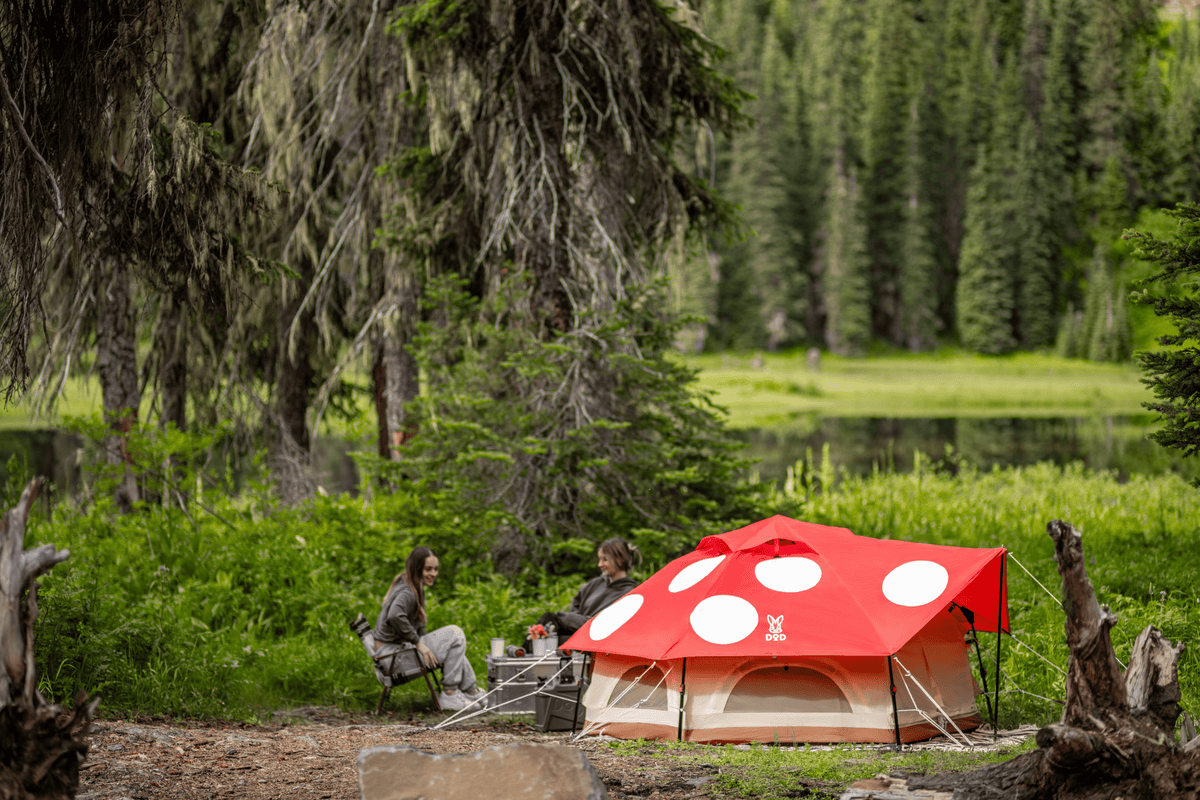 Compact Quick-Setup Camping Tent source view 1