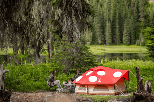 Compact Quick-Setup Camping Tent source view 1
