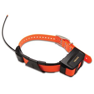 Dog Track & Train Collar source view 1