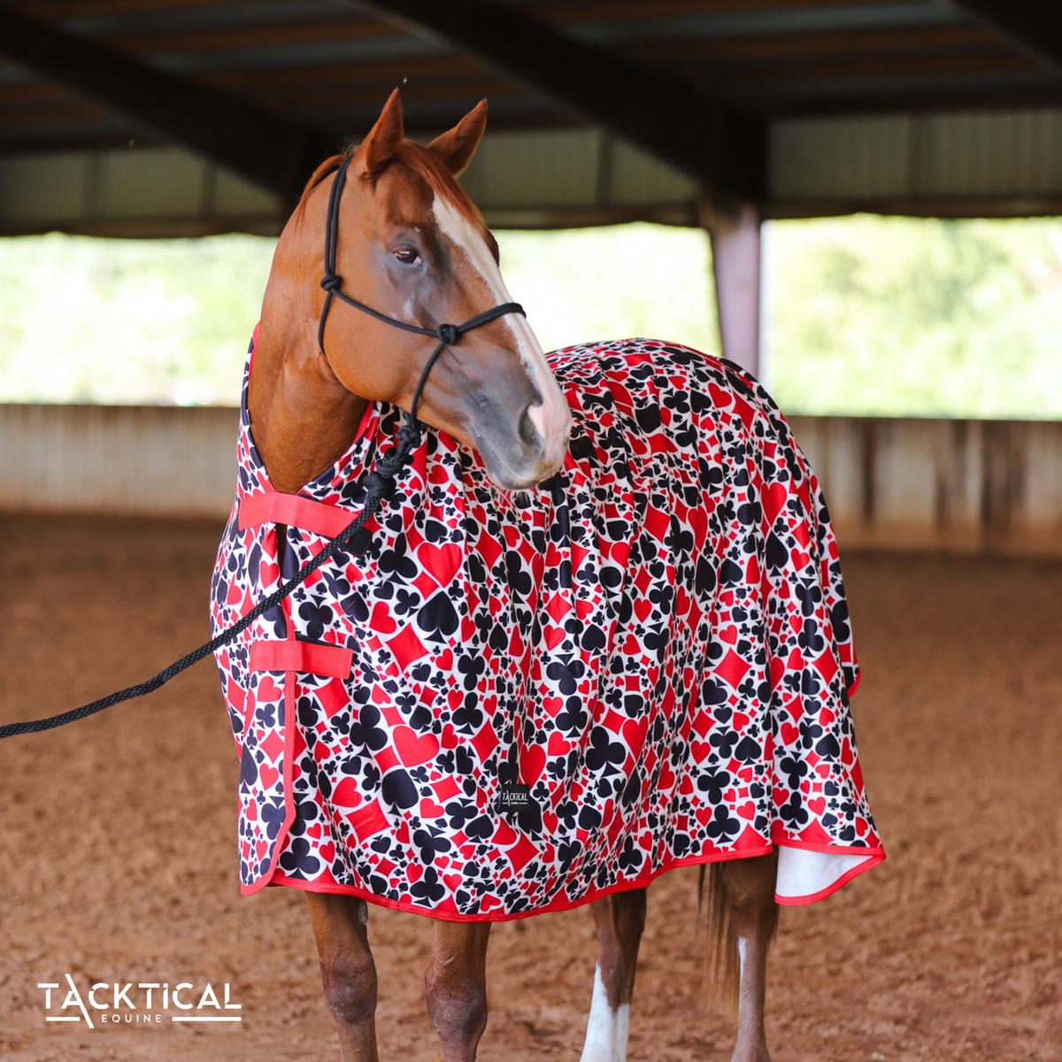 Horse Cooler Sheet source view 1