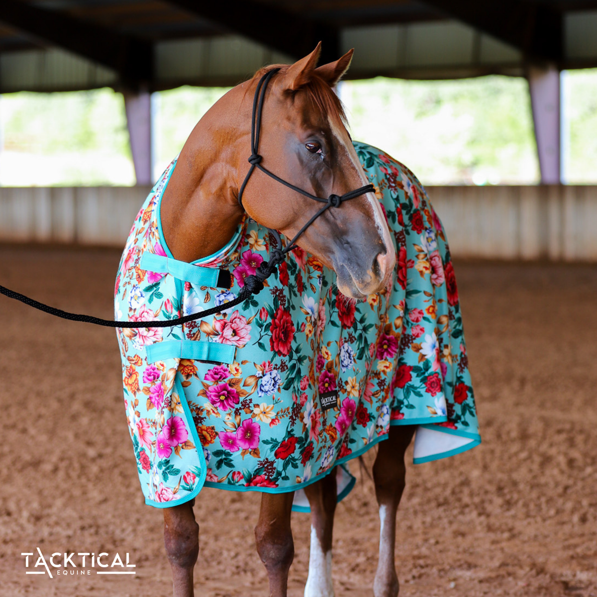 Fleece Horse Cooler Sheet source view 1
