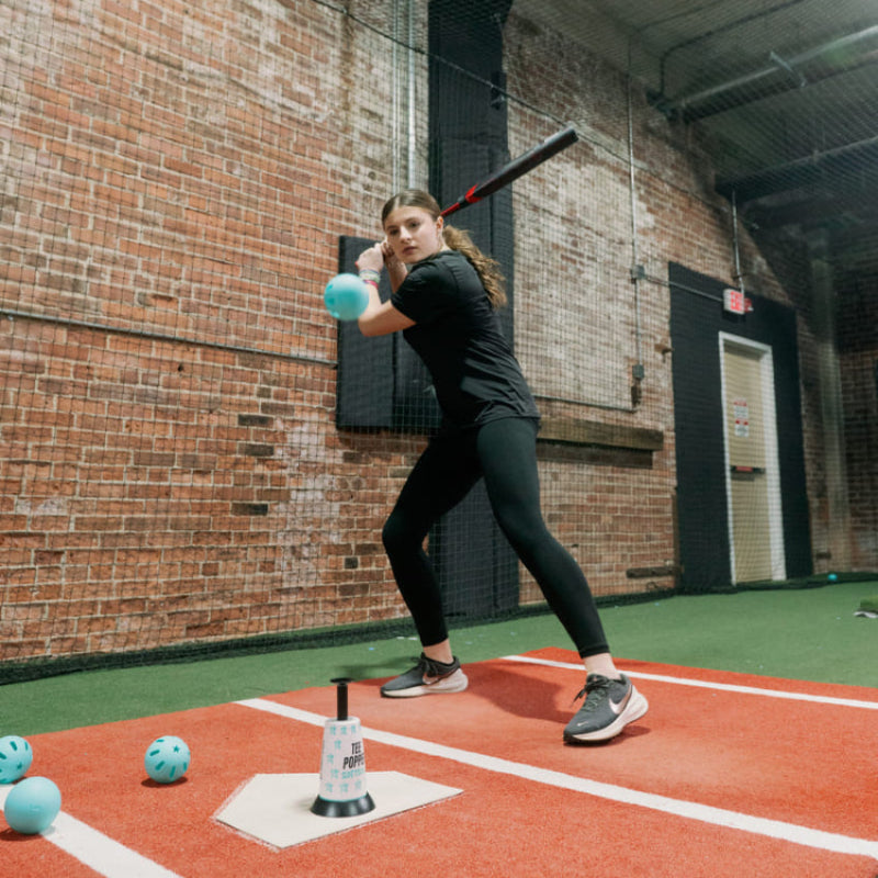 Softball Hitting Trainer source view 2