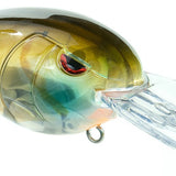 Clear Gill