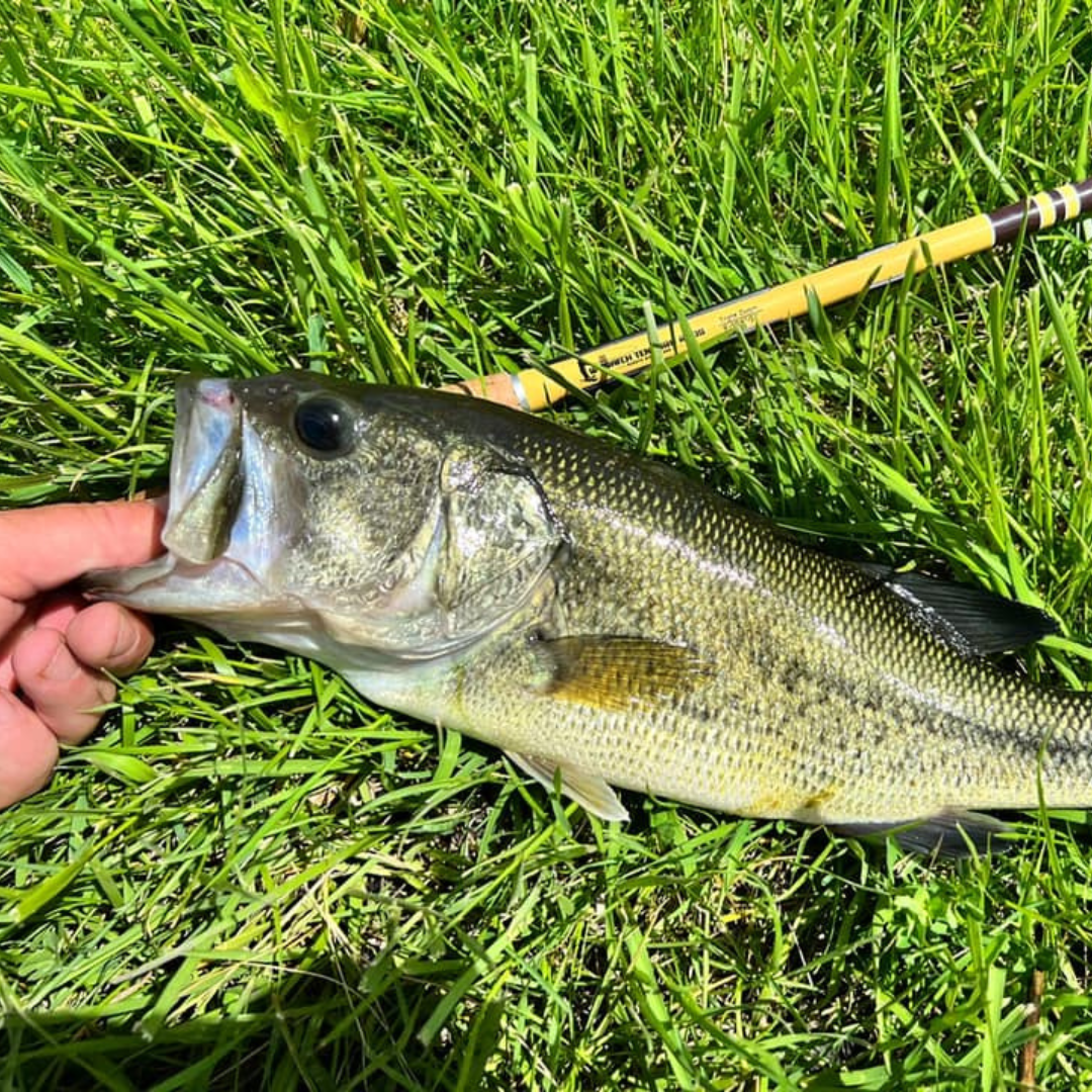 Tenkara Fishing Rod source view 2