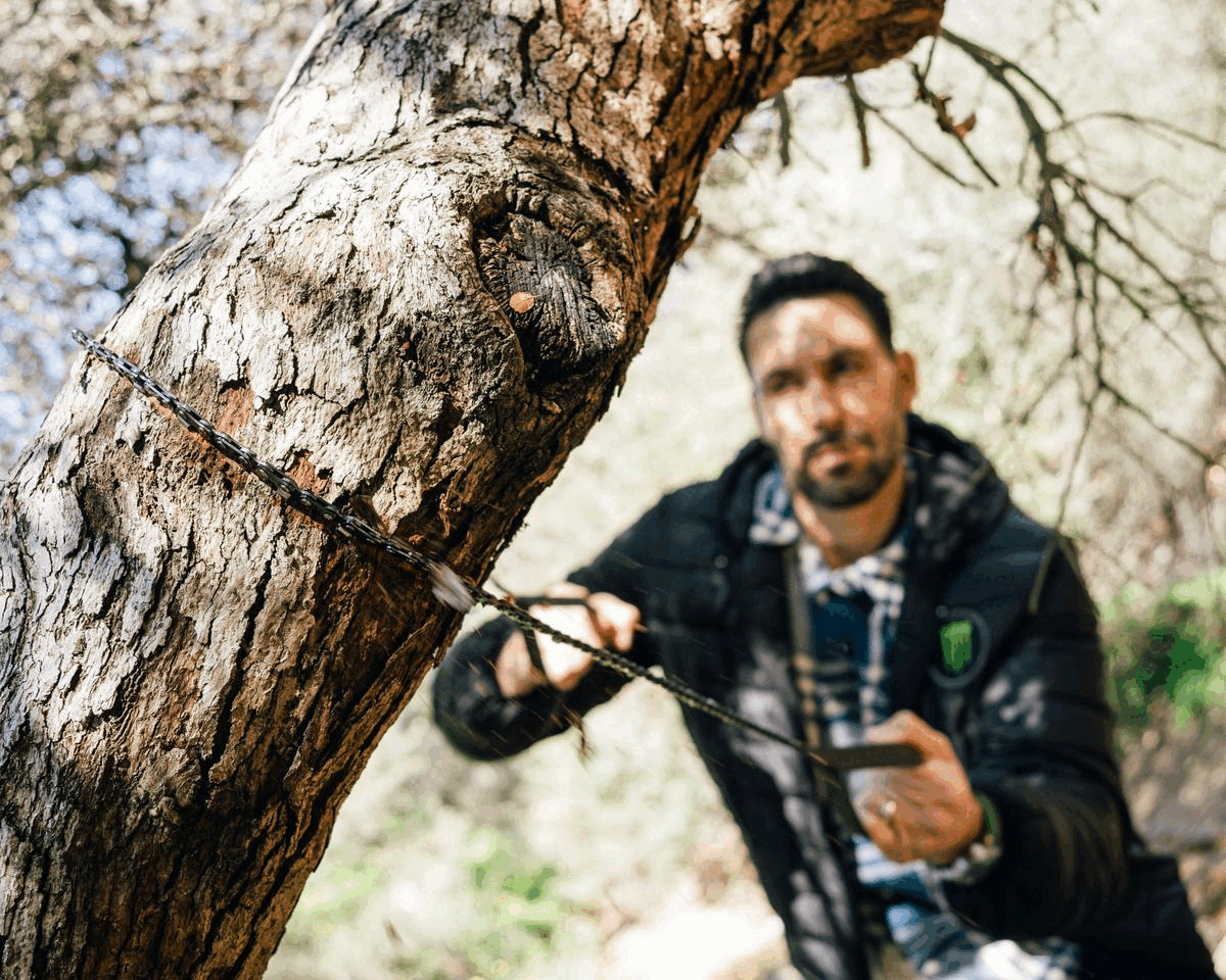 Hand Chainsaw source view 2