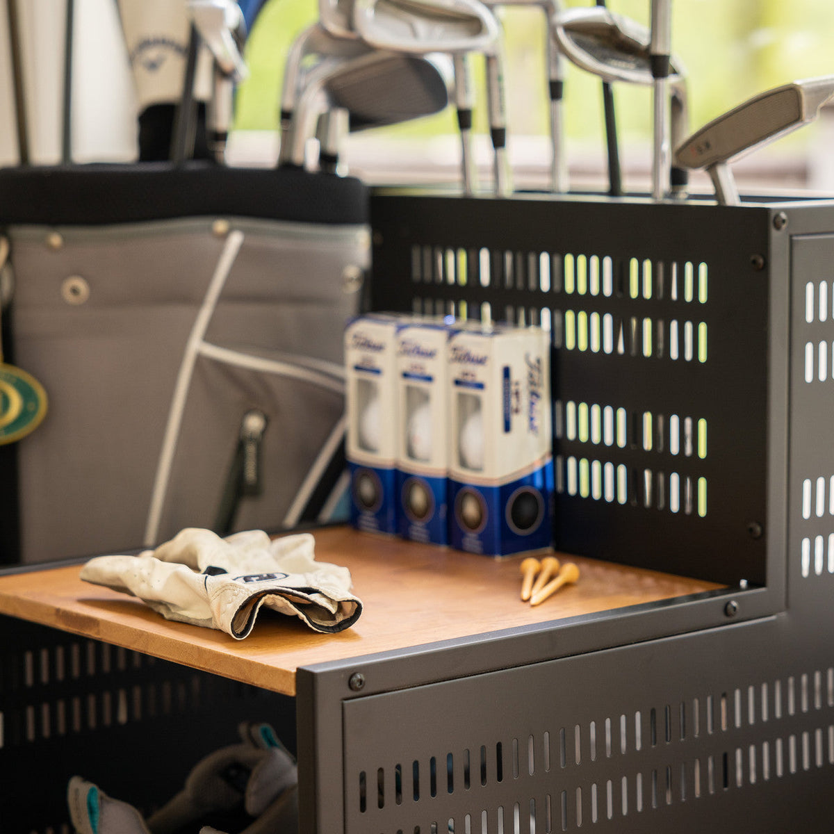 Golf Equipment Organizer source view 2