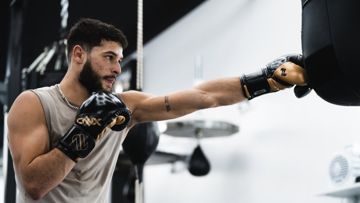 Boxing Training Gloves source view 2