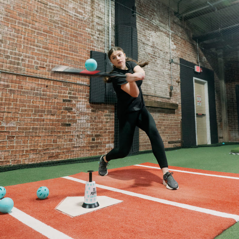 Softball Hitting Trainer source view 3
