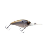 Blackback Shad