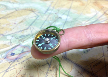 Survival Compass source view 4