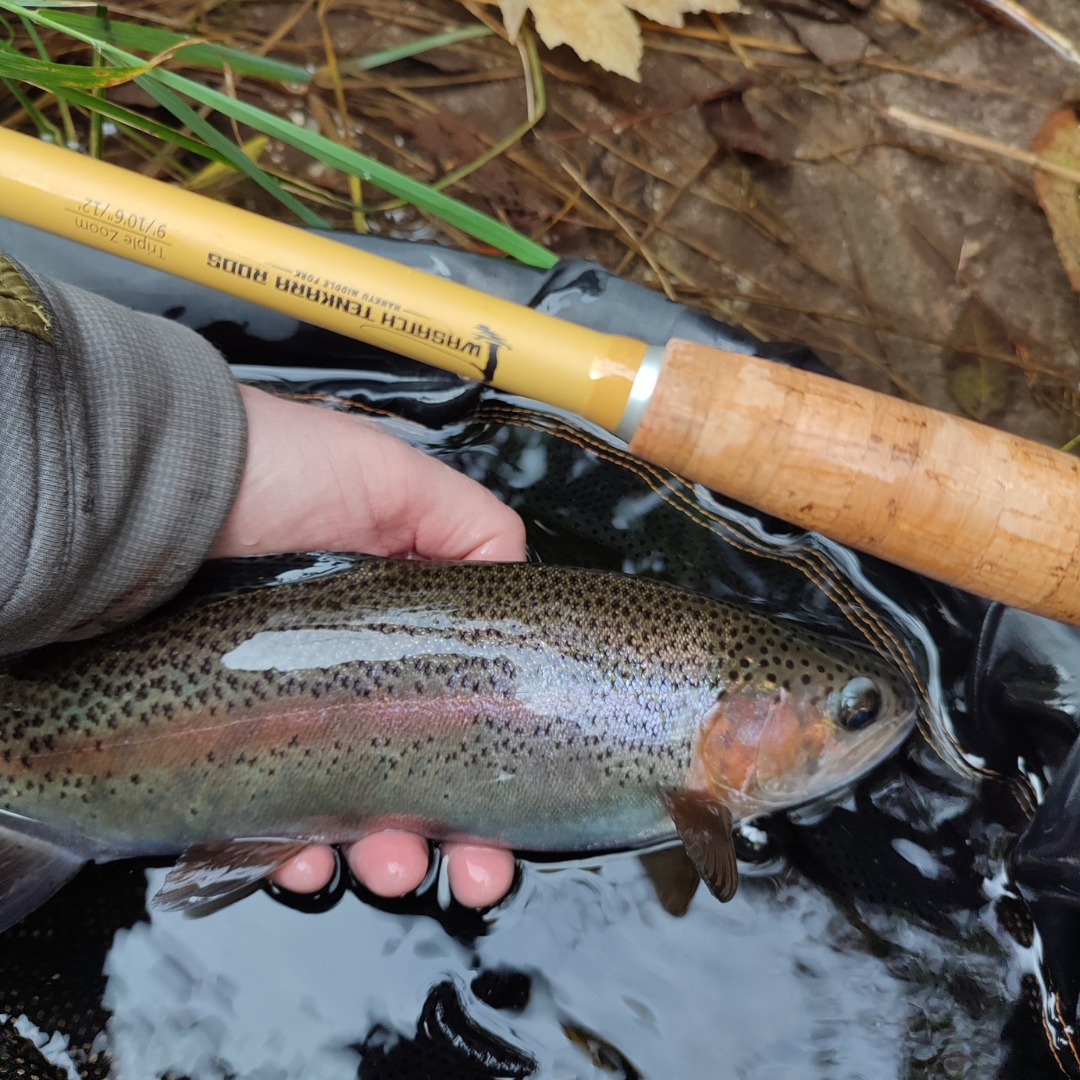 Tenkara Fishing Rod source view 5
