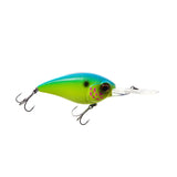 Chartreuse Blue Back
