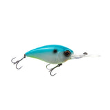 Citrus Shad