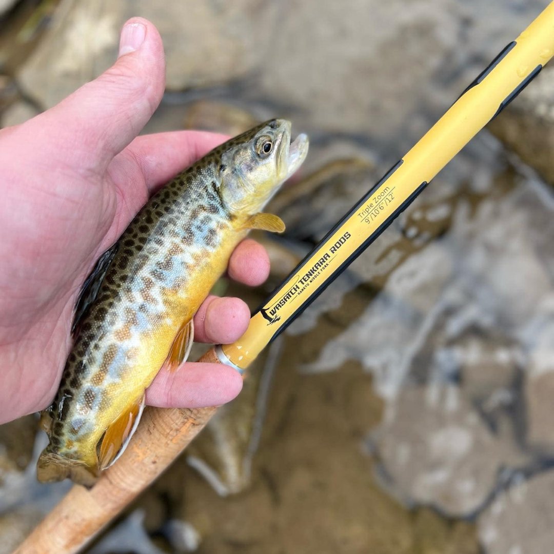 Tenkara Fishing Rod source view 7