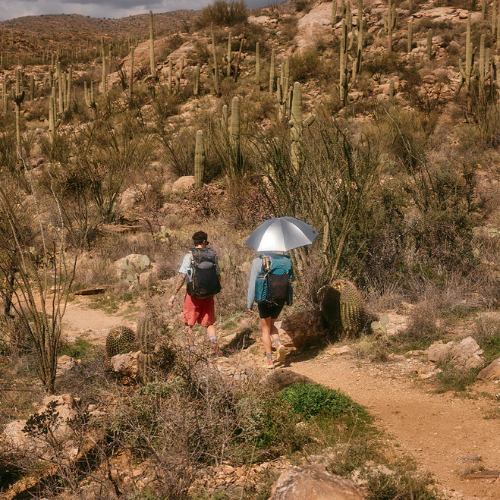 Ultralight Hiking Umbrella source view 9