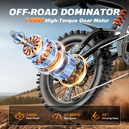 Electric Mountain Dirt Bike GT16 – 749W 48V 25AH, 27.9MPH Off-Road