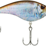 HD Blueback Herring