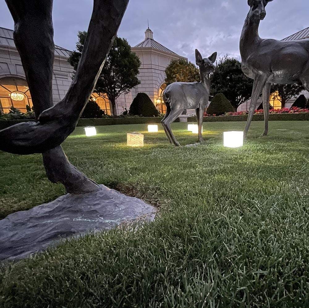 Solar Camping Lantern source view 10