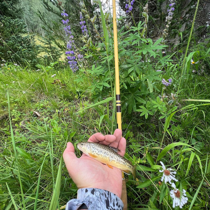 Tenkara Fishing Rod source view 10
