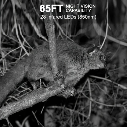 Trail Camera 48MP 4K Night Vision 0.2s Trigger 120 Degree Solar