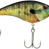 HD Bluegill
