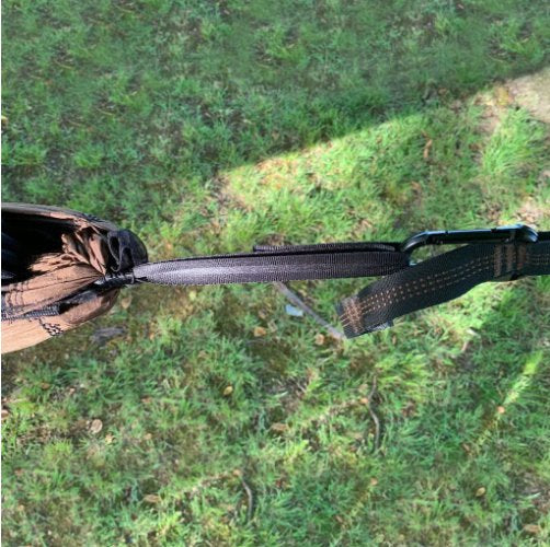 Camping Hammock source view 11