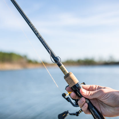 Spinning Rod source view 11