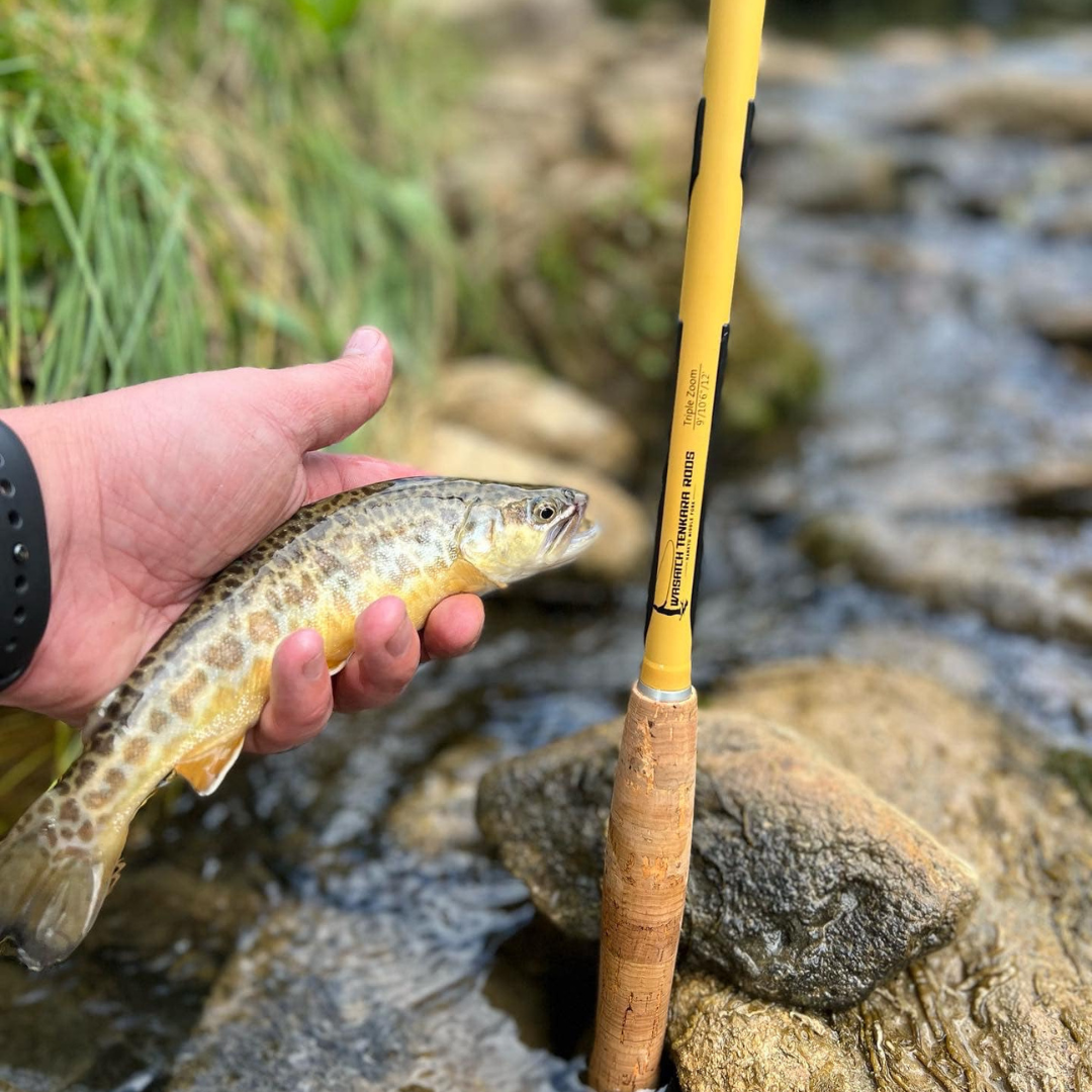 Tenkara Fishing Rod source view 11