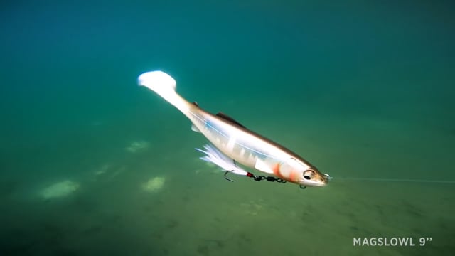 Six-inch paddle tail swimbait source image 19