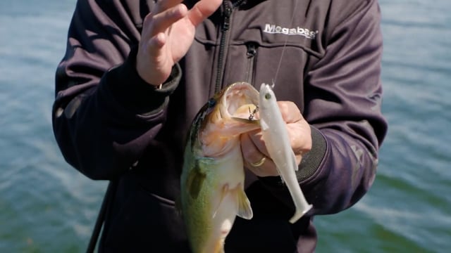 Six-inch paddle tail swimbait source image 20