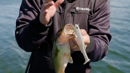 Six-inch paddle tail swimbait source image 20