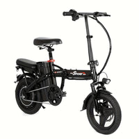 Double Electric Bike