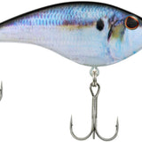 HD Threadfin Shad