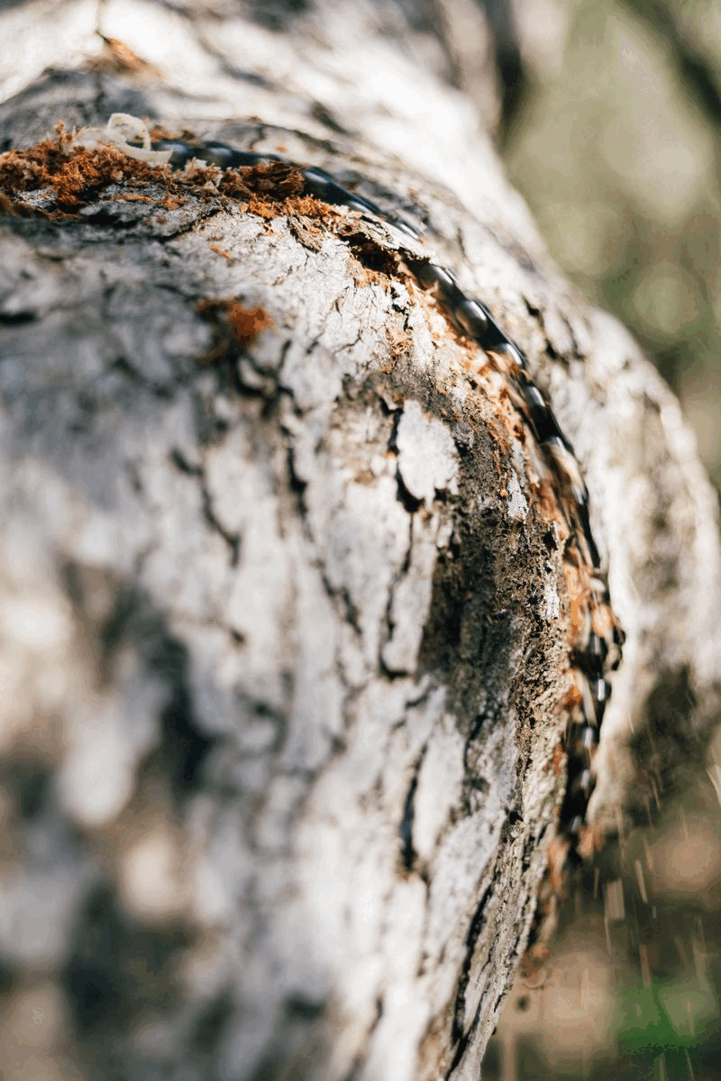 Hand Chainsaw source view 14