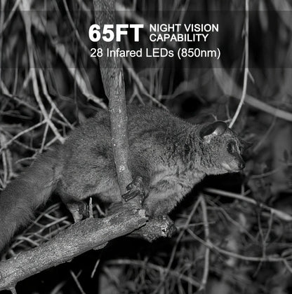 Trail Camera 48MP 4K Night Vision 0.2s Trigger 120 Degree Solar