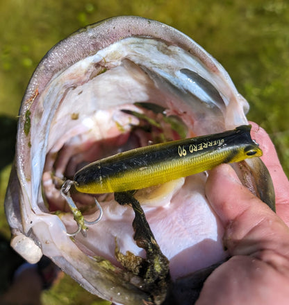 Topwater Fishing Lure source view 16