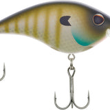 MF Bluegill