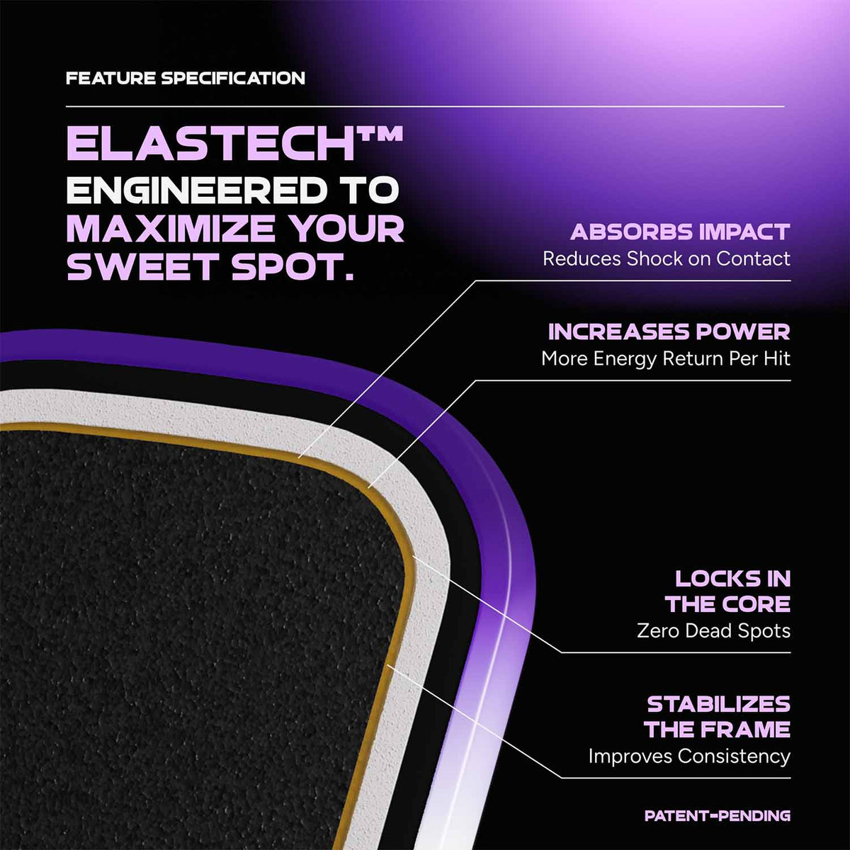 Pickleball Paddle source view 19