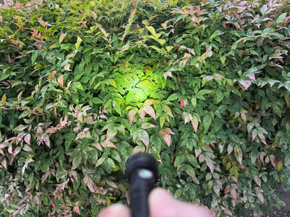 Rechargeable Flashlight source view 19