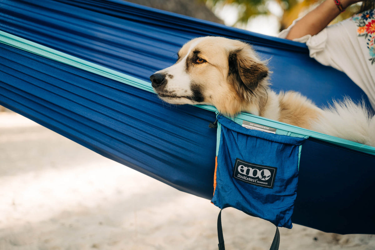Camping Hammock source view 27