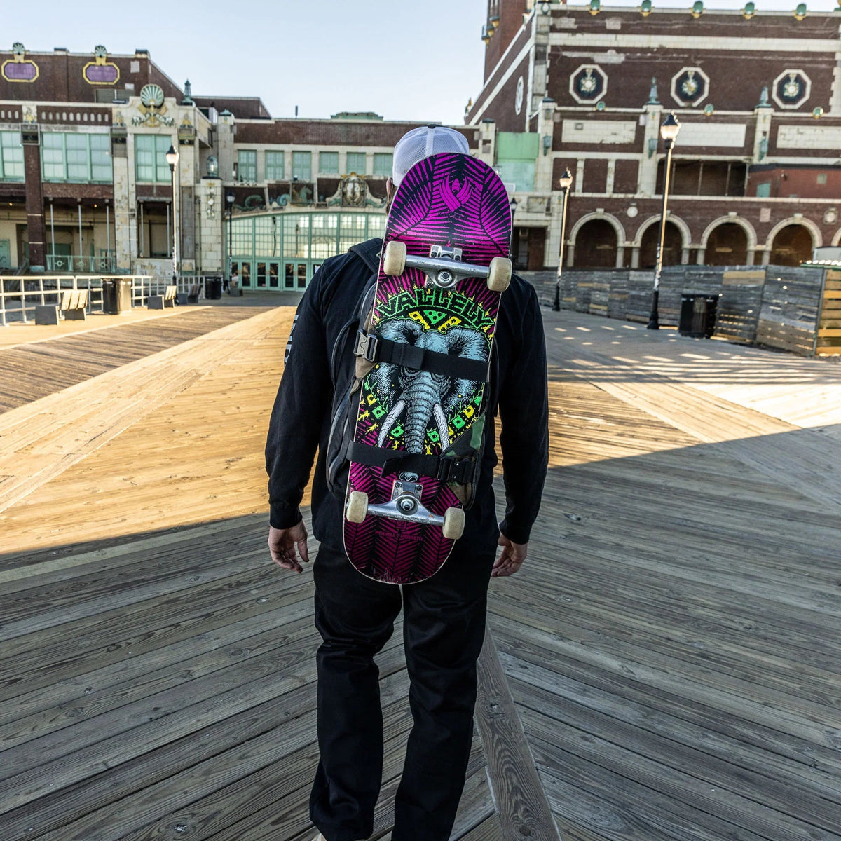 Skateboard Carry Backpack source view 27