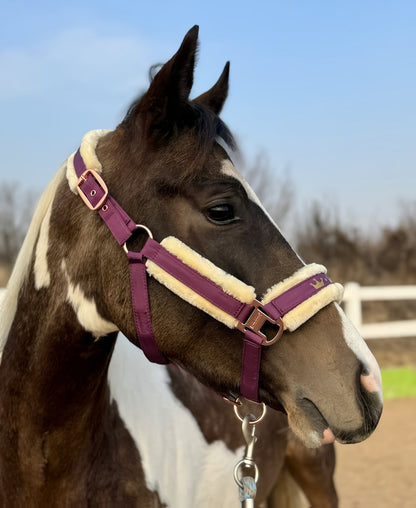 Horse Halter with Detachable Faux Fur Band & Glossy Buckle – Adjustable Head Collar for Horses, Available in 15 Colors & 3 Sizes FULL COB PONY