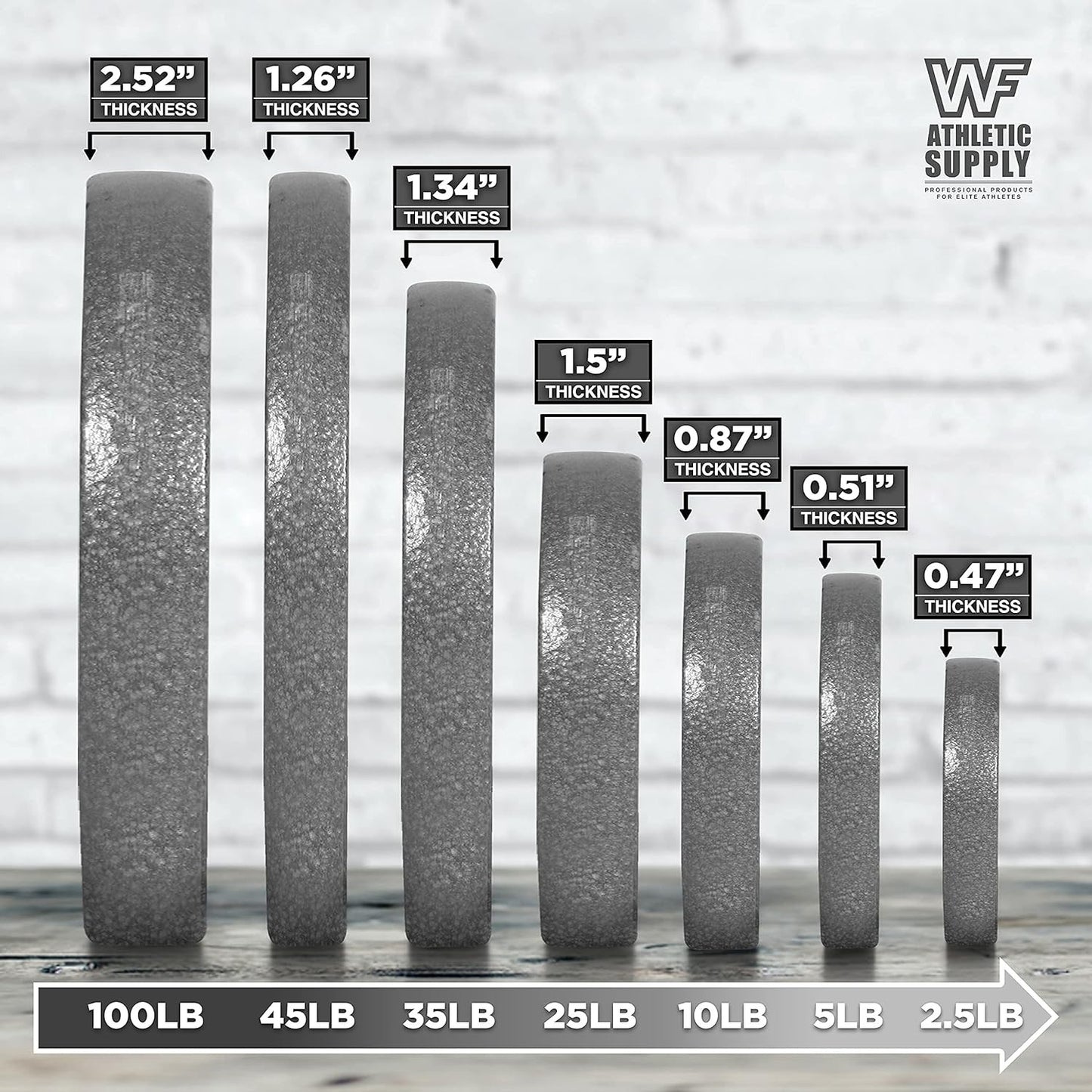 Cast Iron Weight Plates 2-Inch Standard Barbell Plates Solid Iron Gym Weights for Strength Training Weightlifting Bodybuilding Powerlifting Home Gym Multiple Sizes 2.5LB to 100LB