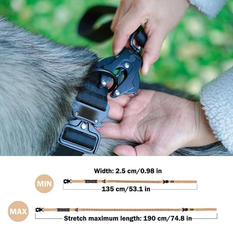 Dog Leash original source image 12
