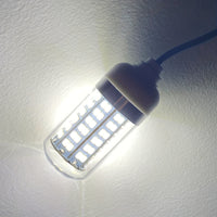White Light