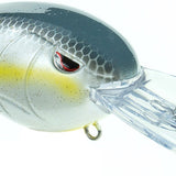 Nasty Shad
