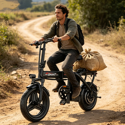 48V Electric Bike 650W Folding 13Ah Battery, 14" Commuter E-Bike for Adults & Teens, Dual Rider