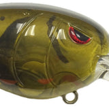 Phantom Watermelon