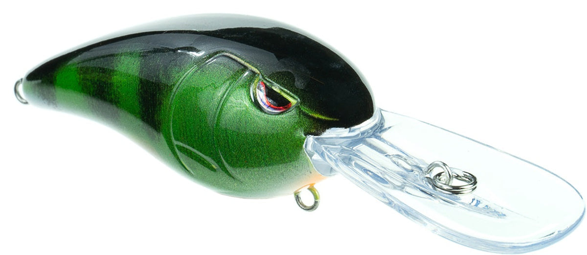 Medium Diving Crankbait Real Perch option